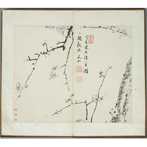 Album of Plum Blossoms in Ink by Zhu Da